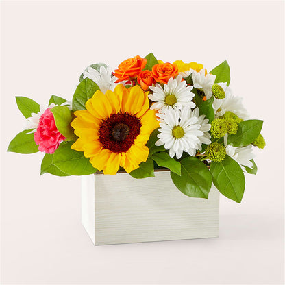 Sun-drenched Blooms Box Bouquet –  Rita Fleuriste Montreal, Montreal PQ