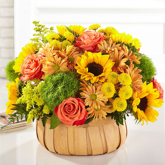 Harvest Sunflower Basket –  Rita Fleuriste Montreal, Montreal PQ