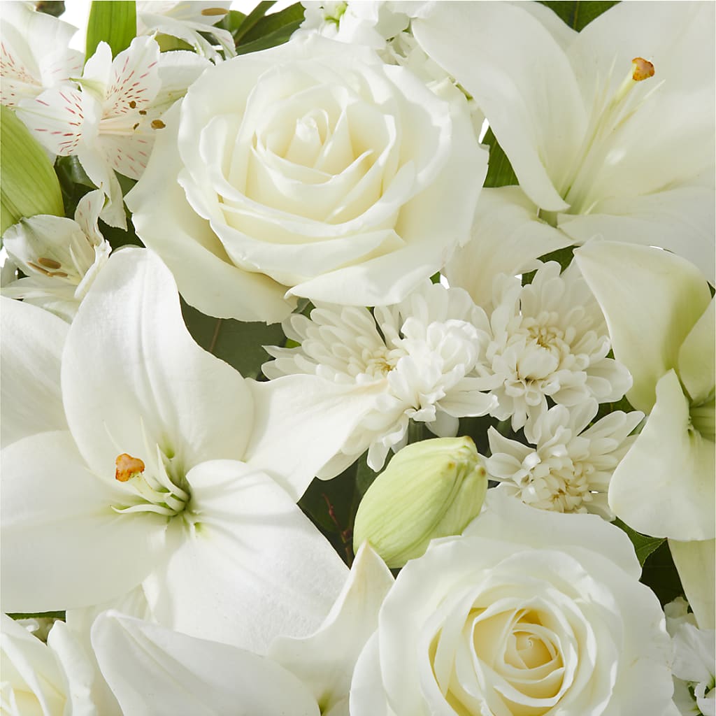 Peaceful Reflections Arrangement –  Rita Fleuriste Montreal, Montreal PQ