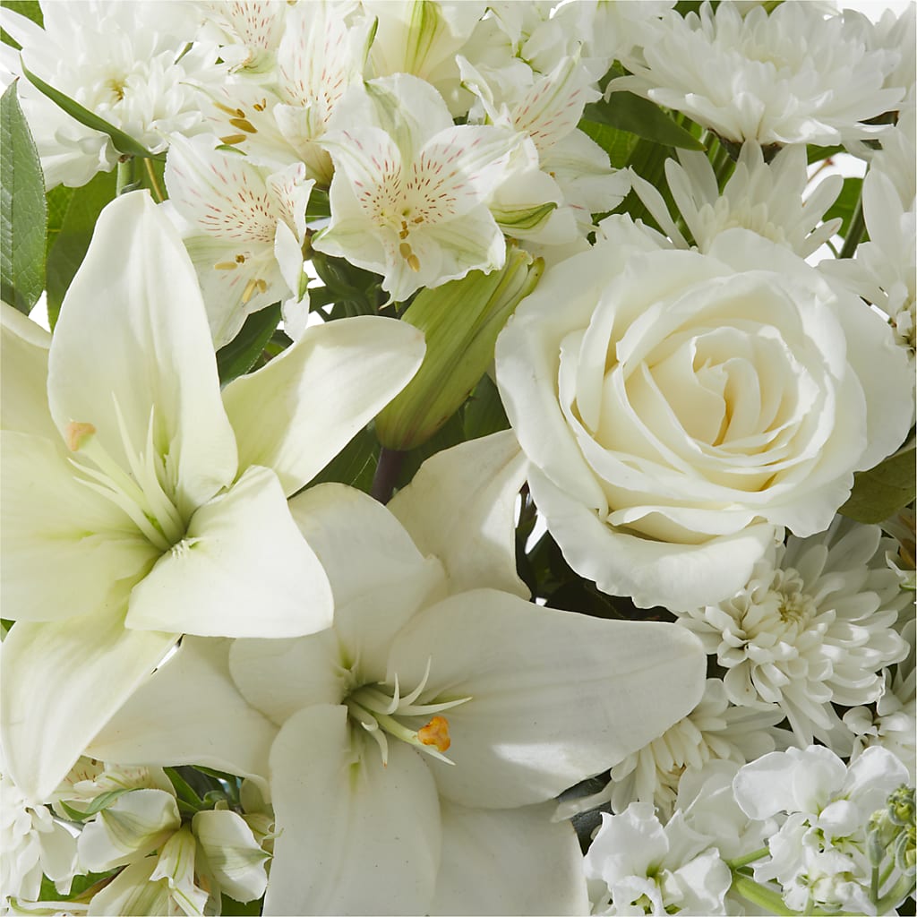 Peaceful Reflections Arrangement –  Rita Fleuriste Montreal, Montreal PQ