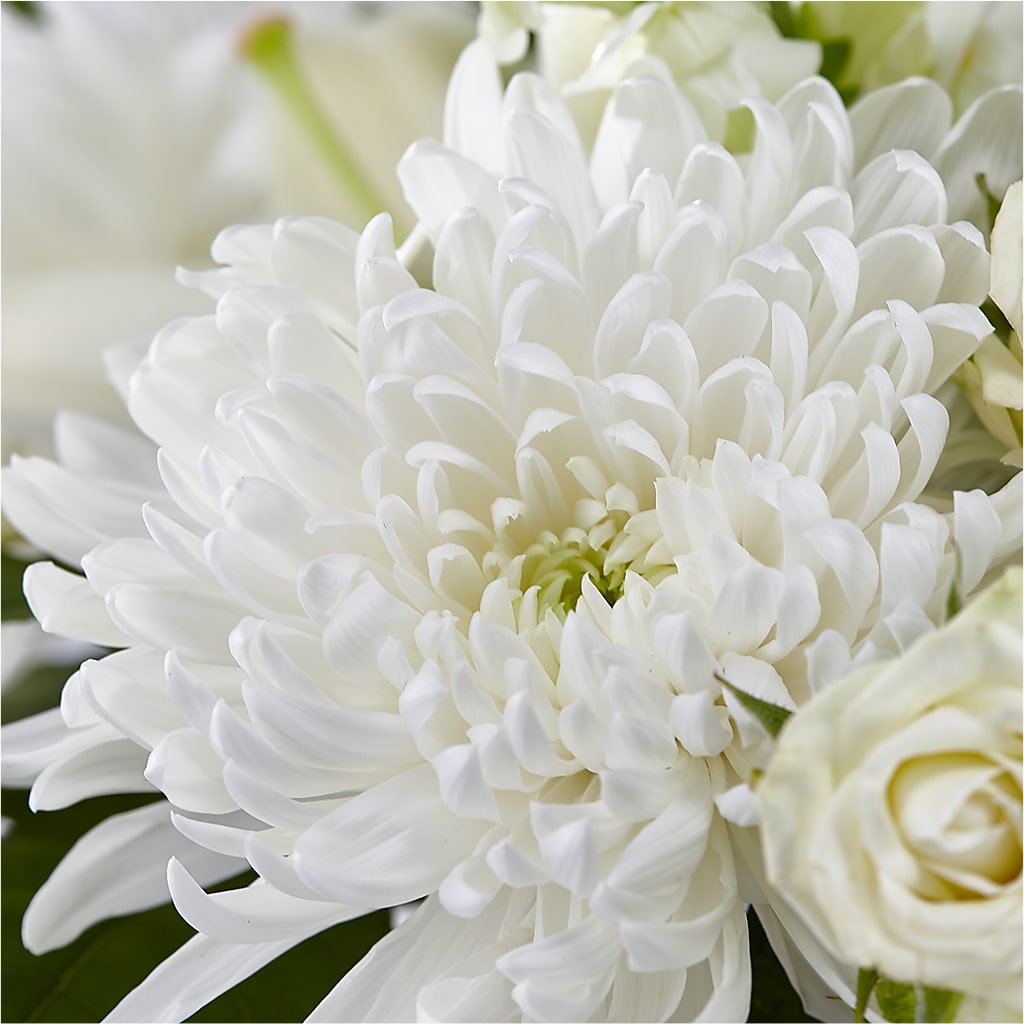 Classic Ivory – A Florist Original –  Rita Fleuriste Montreal, Montreal PQ