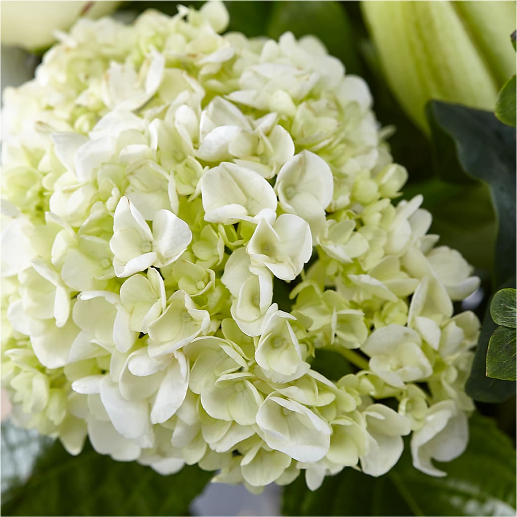 Classic Ivory – A Florist Original –  Rita Fleuriste Montreal, Montreal PQ