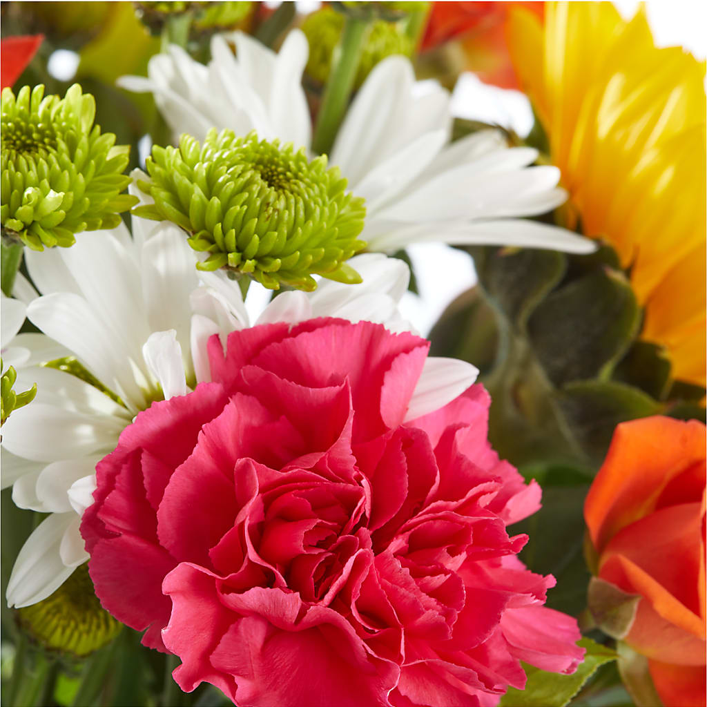 Sun-drenched Blooms Bouquet –  Rita Fleuriste Montreal, Montreal PQ
