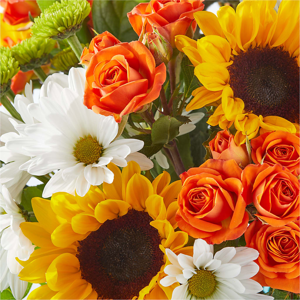 Sun-drenched Blooms Bouquet –  Rita Fleuriste Montreal, Montreal PQ