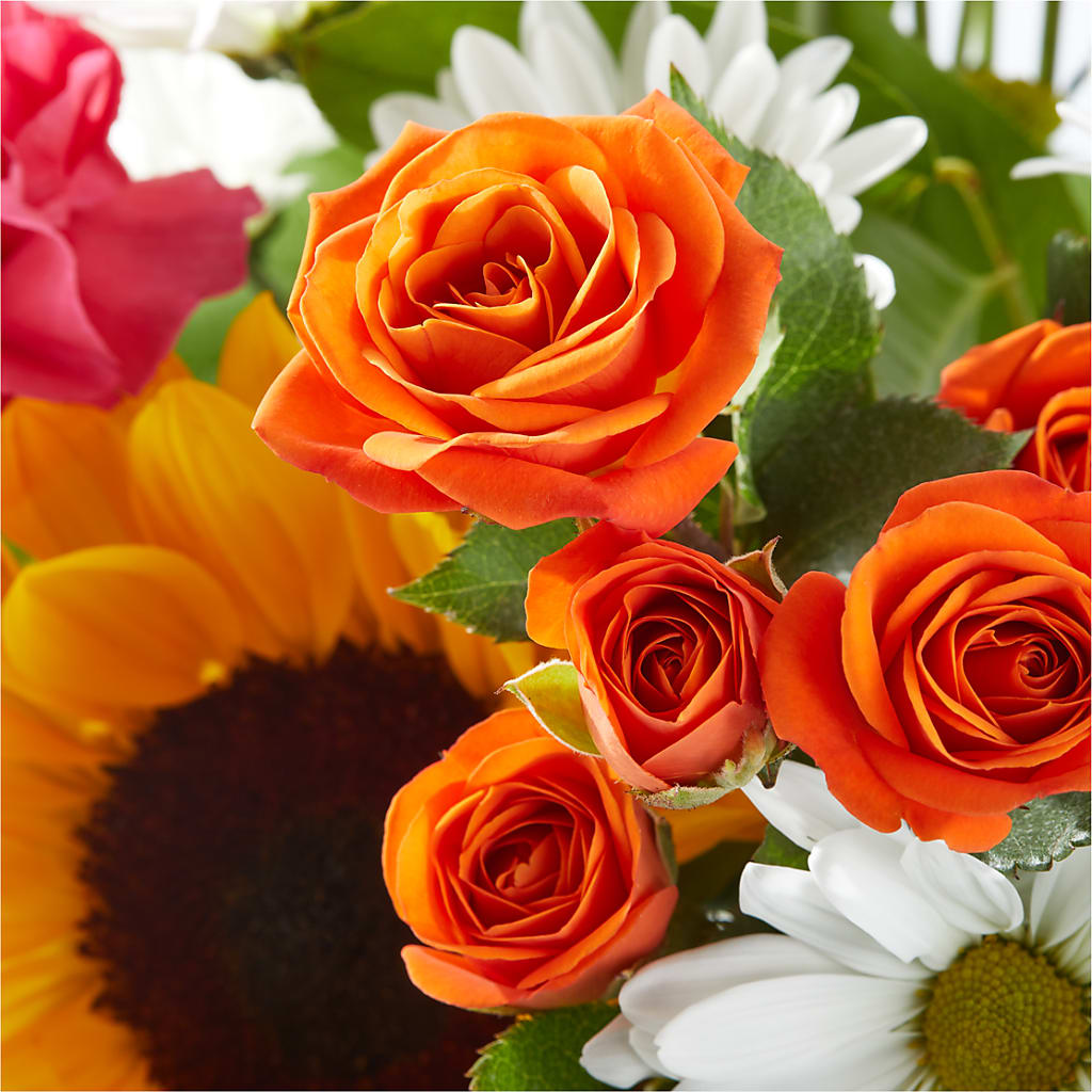 Sun-drenched Blooms Bouquet –  Rita Fleuriste Montreal, Montreal PQ
