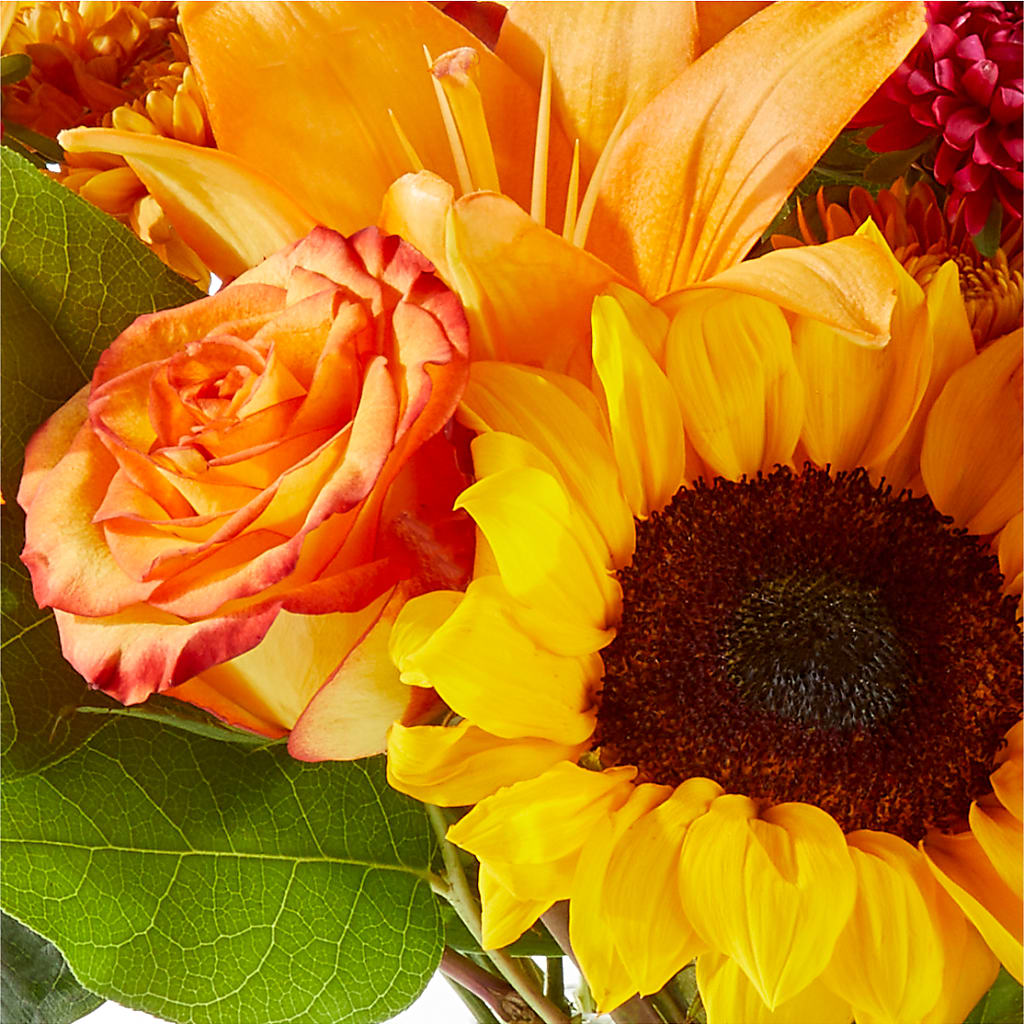 Fall Day Bouquet –  Rita Fleuriste Montreal, Montreal PQ