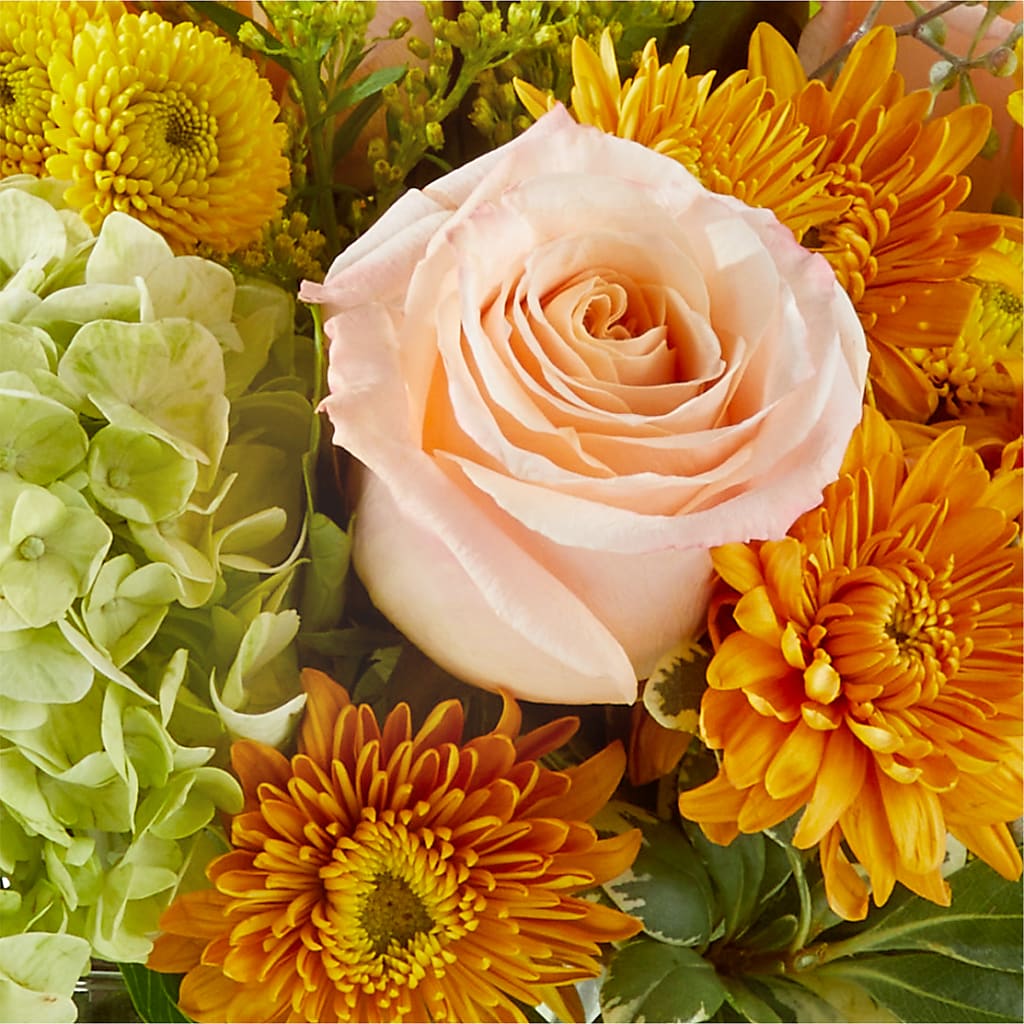 Fall Foliage Bouquet –  Rita Fleuriste Montreal, Montreal PQ