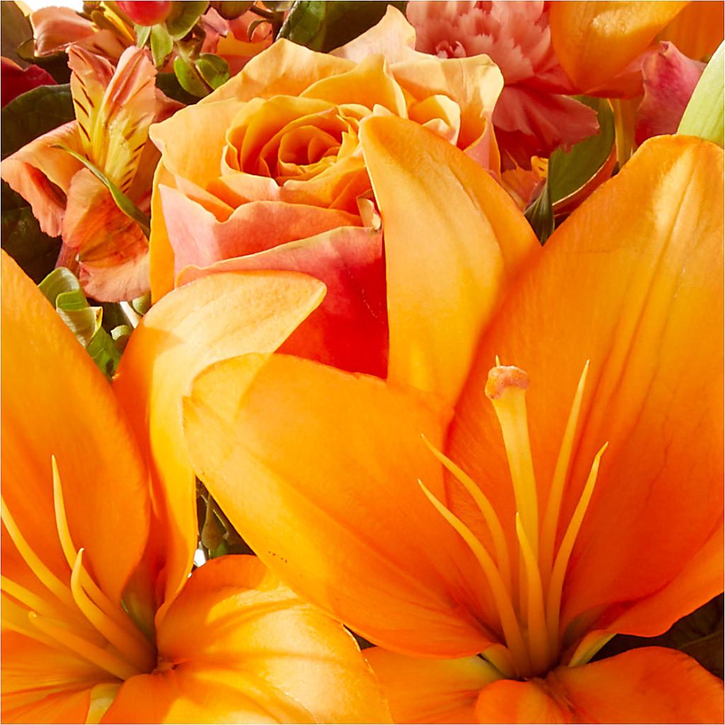 Afternoon Light Bouquet –  Rita Fleuriste Montreal, Montreal PQ
