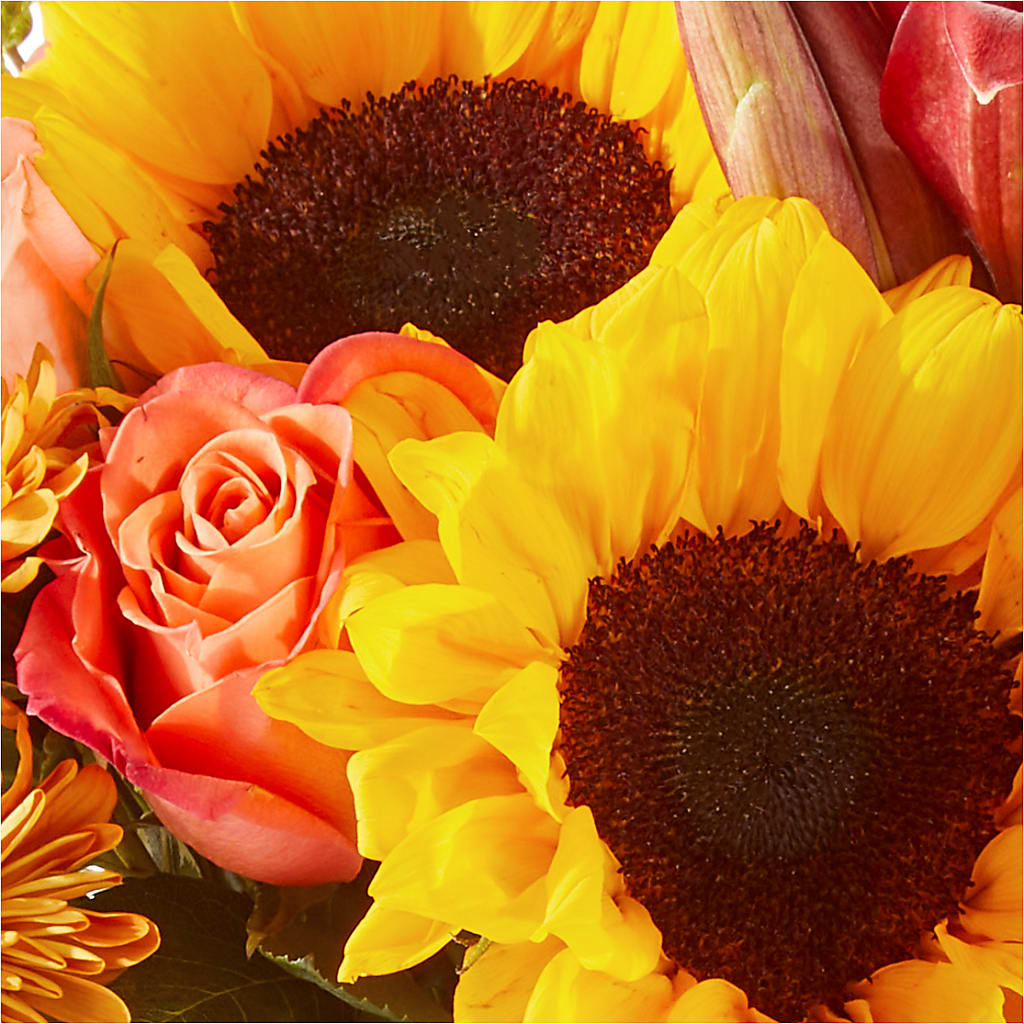 Acorn Lane Bouquet –  Rita Fleuriste Montreal, Montreal PQ