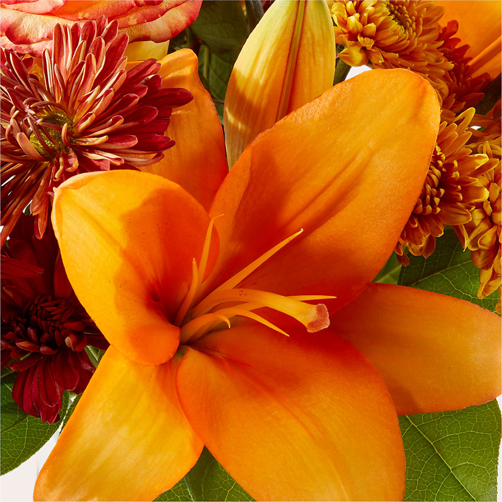 Autumnal Aroma Bouquet –  Rita Fleuriste Montreal, Montreal PQ