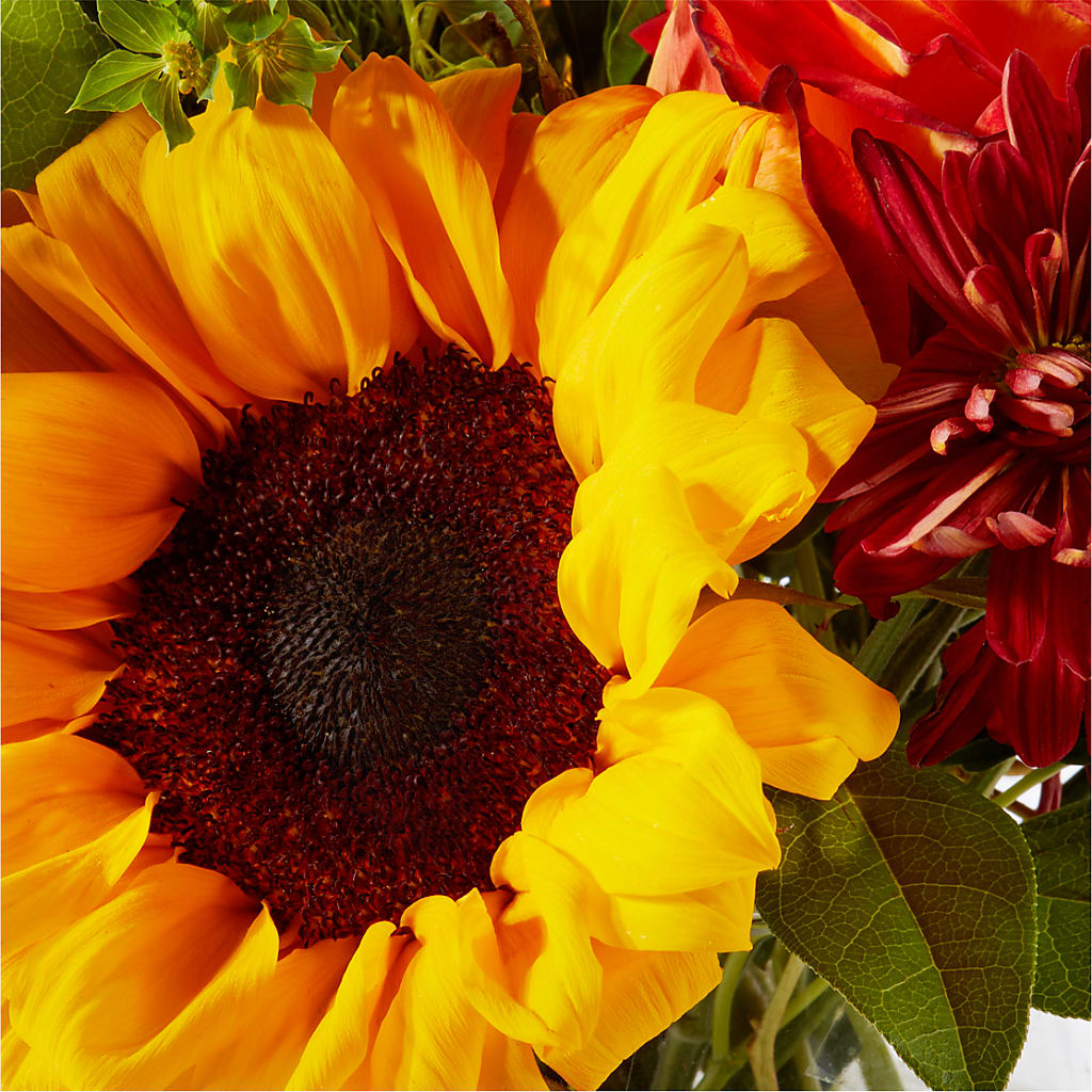 Harvest Festival Bouquet –  Rita Fleuriste Montreal, Montreal PQ