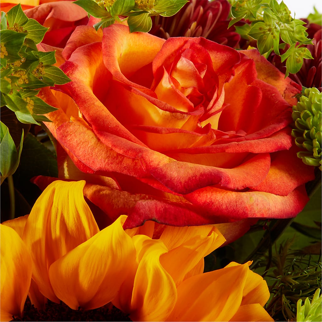 Harvest Festival Bouquet –  Rita Fleuriste Montreal, Montreal PQ