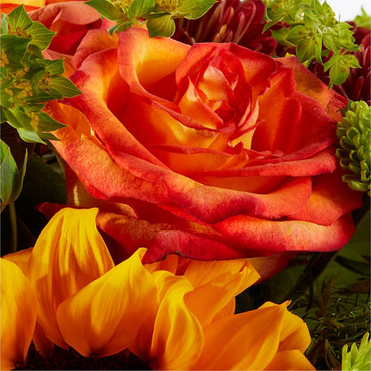 Harvest Festival Bouquet –  Rita Fleuriste Montreal, Montreal PQ