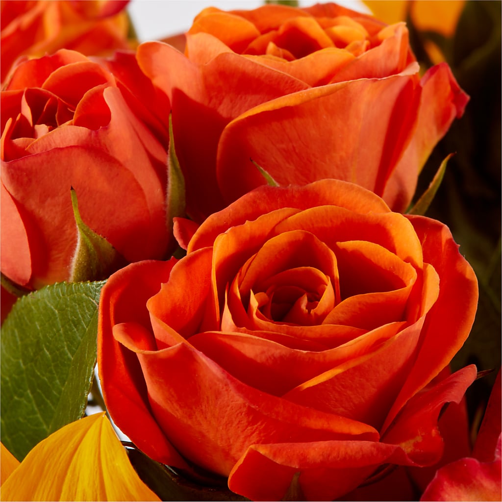 Picnic in the Park Bouquet –  Rita Fleuriste Montreal, Montreal PQ
