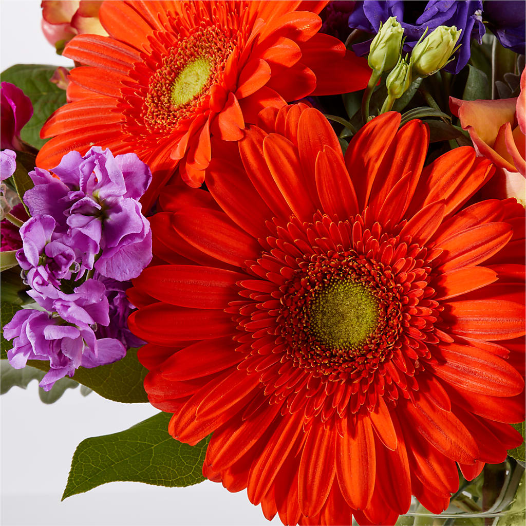 Sangria Bouquet –  Rita Fleuriste Montreal, Montreal PQ