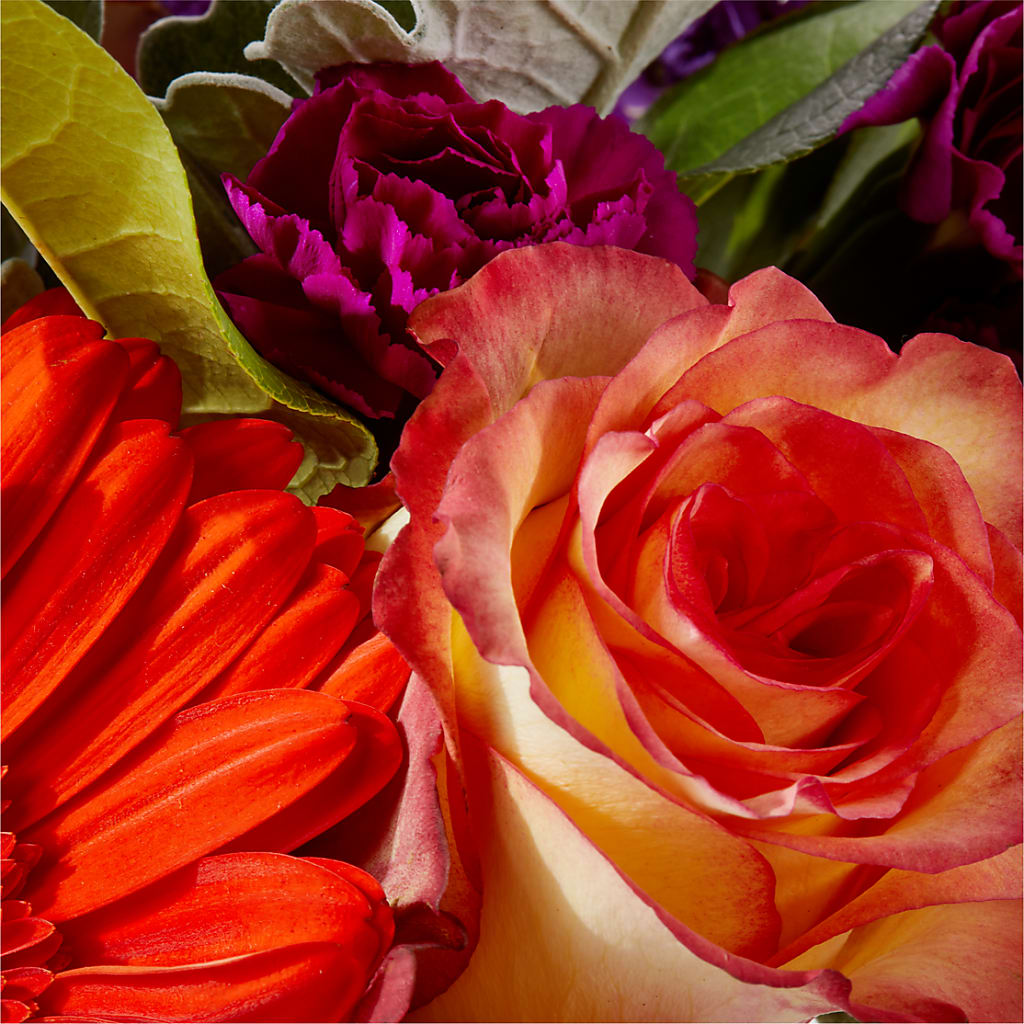 Sangria Bouquet –  Rita Fleuriste Montreal, Montreal PQ