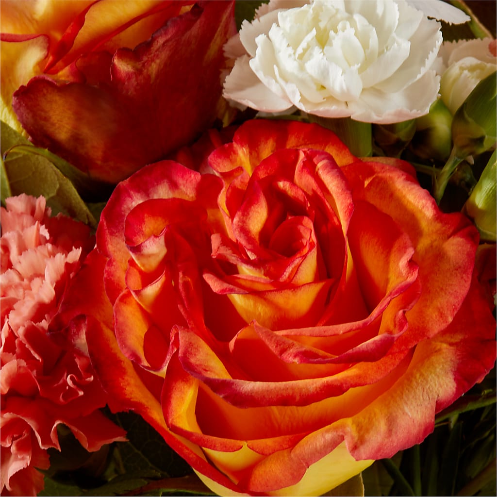 Apricot Glow Bouquet –  Rita Fleuriste Montreal, Montreal PQ