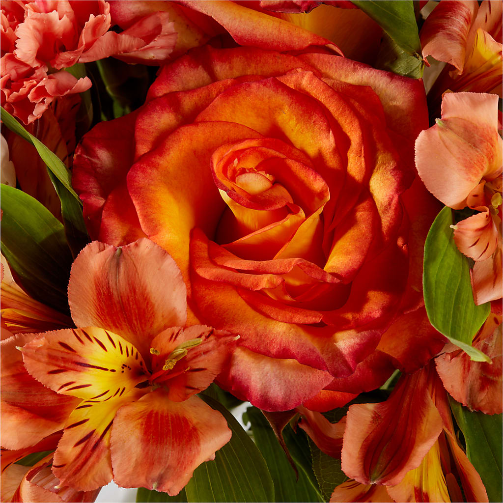 Apricot Glow Bouquet –  Rita Fleuriste Montreal, Montreal PQ
