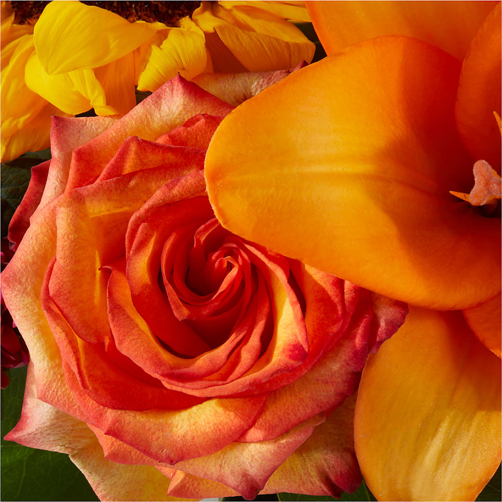 Grateful Centerpiece –  Rita Fleuriste Montreal, Montreal PQ