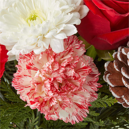 Candy Cane Lane Bouquet –  Rita Fleuriste Montreal, Montreal PQ