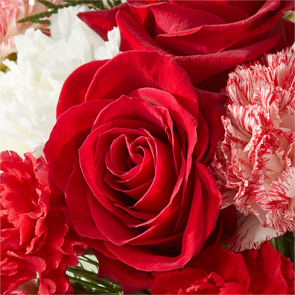 Candy Cane Lane Bouquet –  Rita Fleuriste Montreal, Montreal PQ