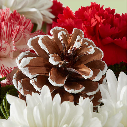 Candy Cane Lane Bouquet –  Rita Fleuriste Montreal, Montreal PQ