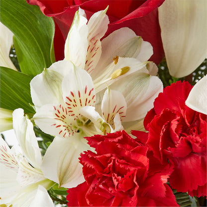 Holiday Season Bouquet –  Rita Fleuriste Montreal, Montreal PQ