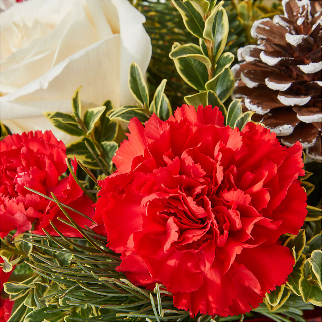 Christmas Market Bouquet –  Rita Fleuriste Montreal, Montreal PQ