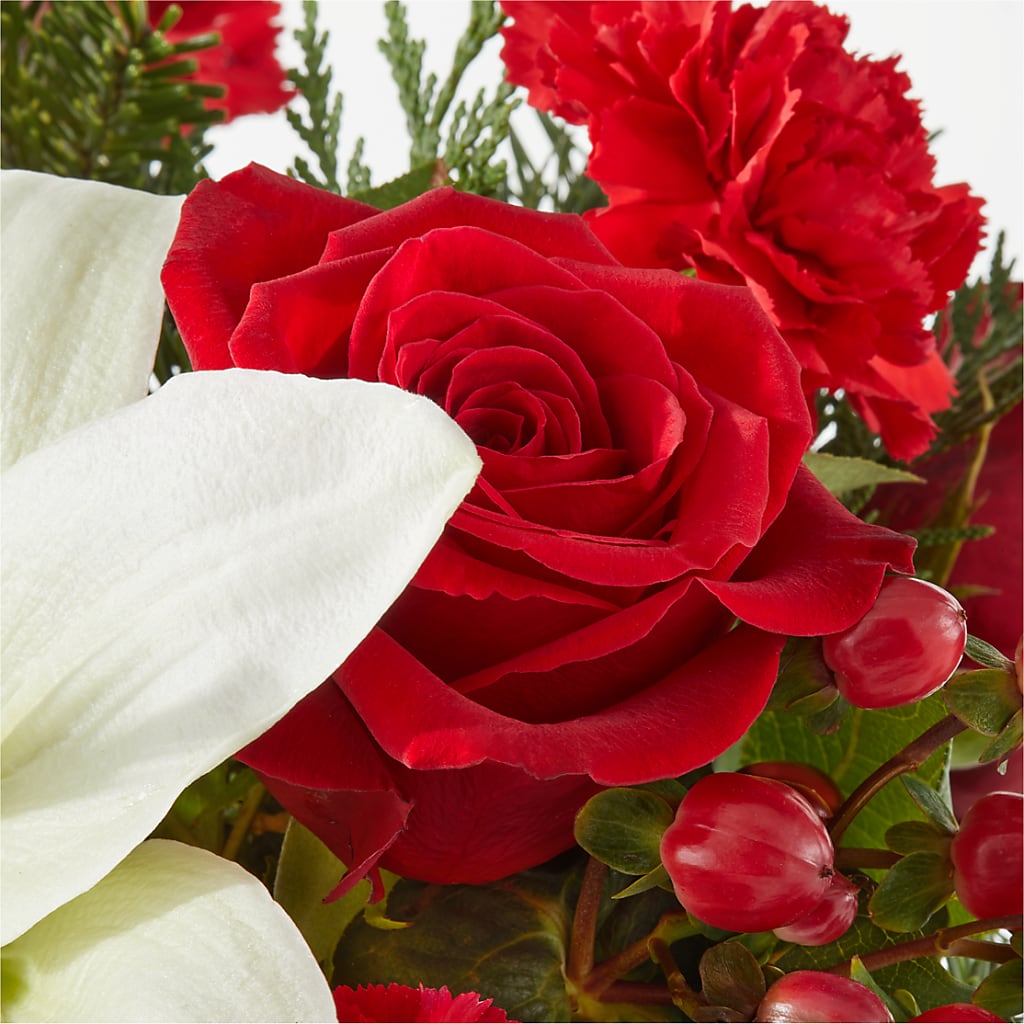 Oh So Jolly Bouquet –  Rita Fleuriste Montreal, Montreal PQ