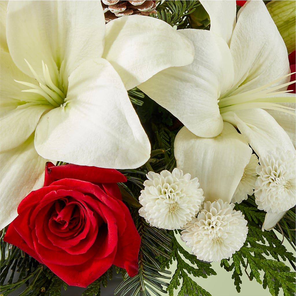 Seasonal Festivities Centerpiece –  Rita Fleuriste Montreal, Montreal PQ