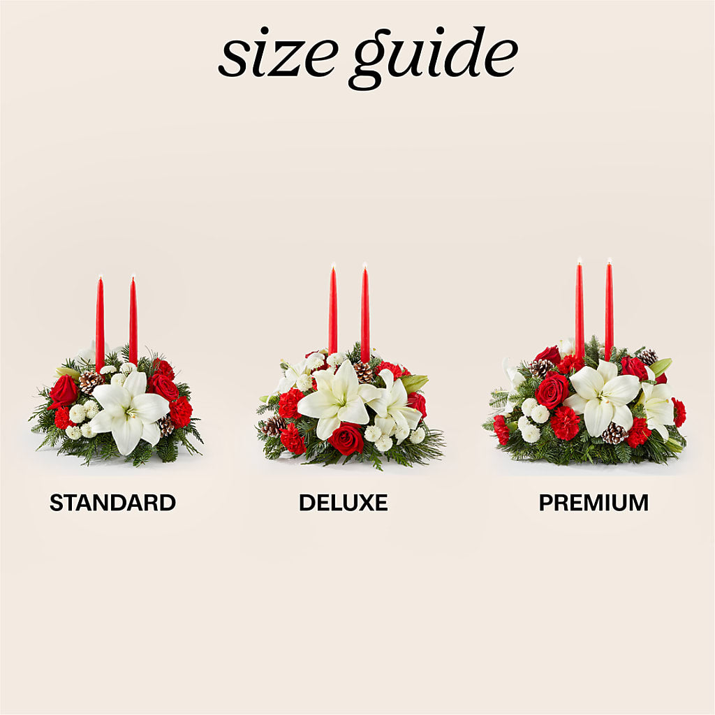 Seasonal Festivities Centerpiece –  Rita Fleuriste Montreal, Montreal PQ