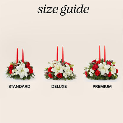 Seasonal Festivities Centerpiece –  Rita Fleuriste Montreal, Montreal PQ