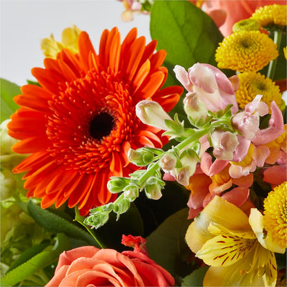 Autumn Sunshine Bouquet –  Rita Fleuriste Montreal, Montreal PQ