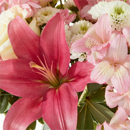 Piece of Cake Bouquet –  Rita Fleuriste Montreal, Montreal PQ