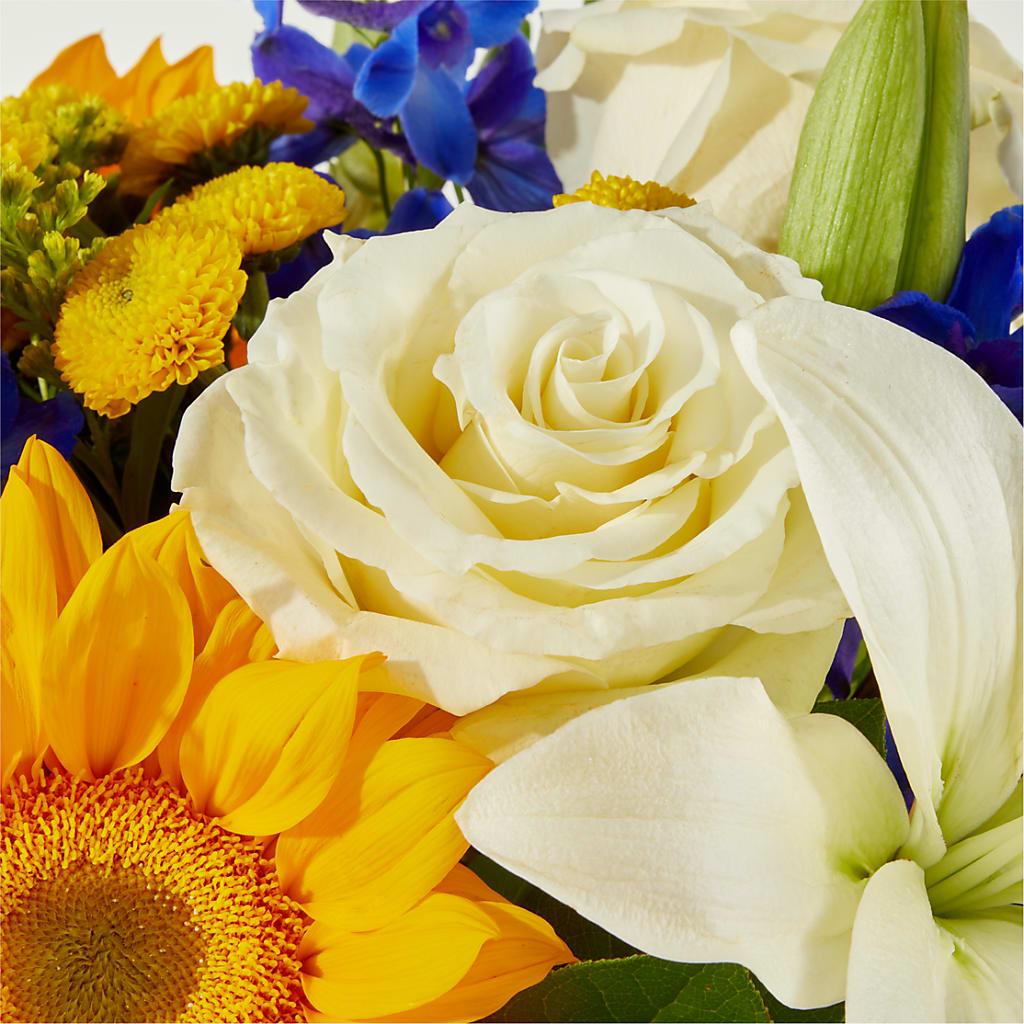 Stargazing Bouquet –  Rita Fleuriste Montreal, Montreal PQ
