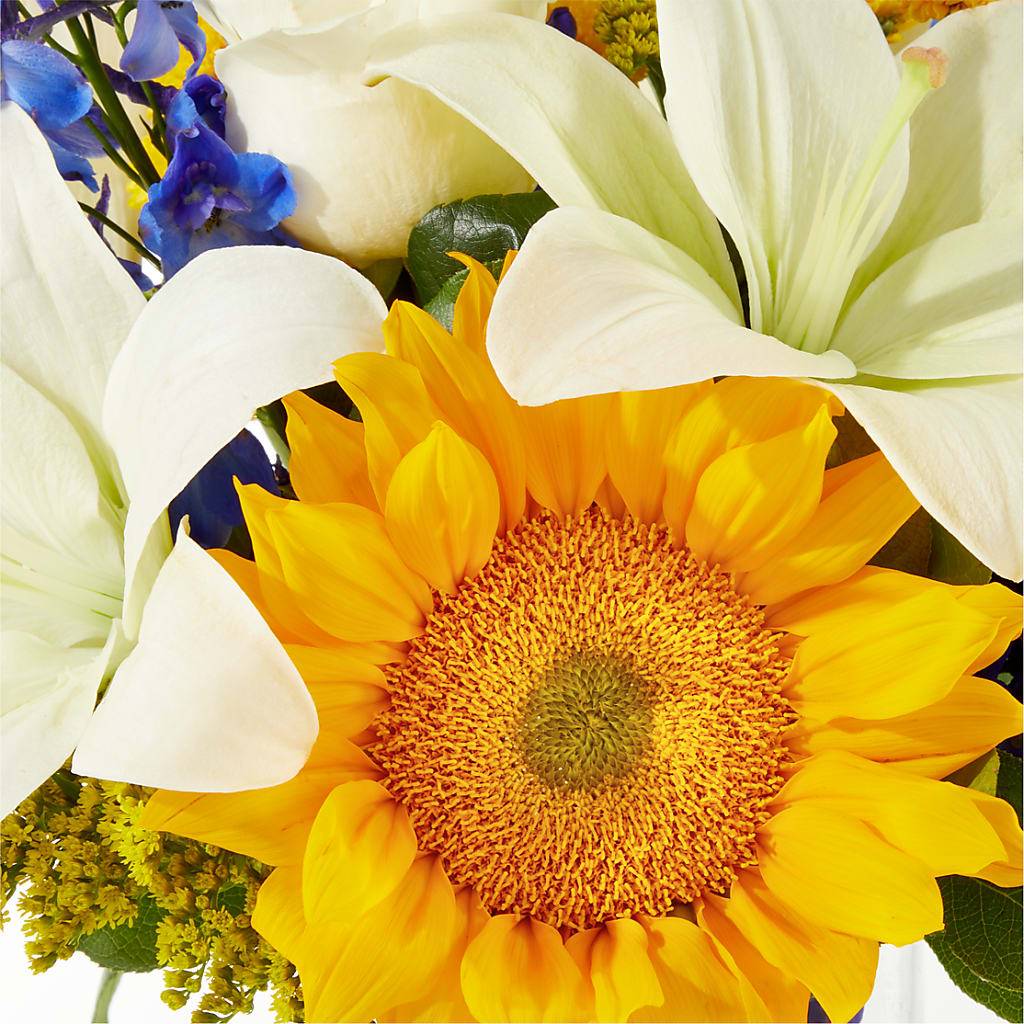 Stargazing Bouquet –  Rita Fleuriste Montreal, Montreal PQ
