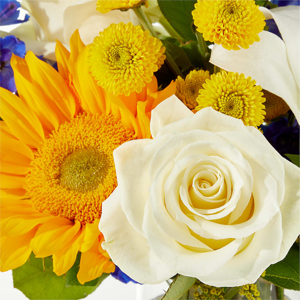 Stargazing Bouquet –  Rita Fleuriste Montreal, Montreal PQ