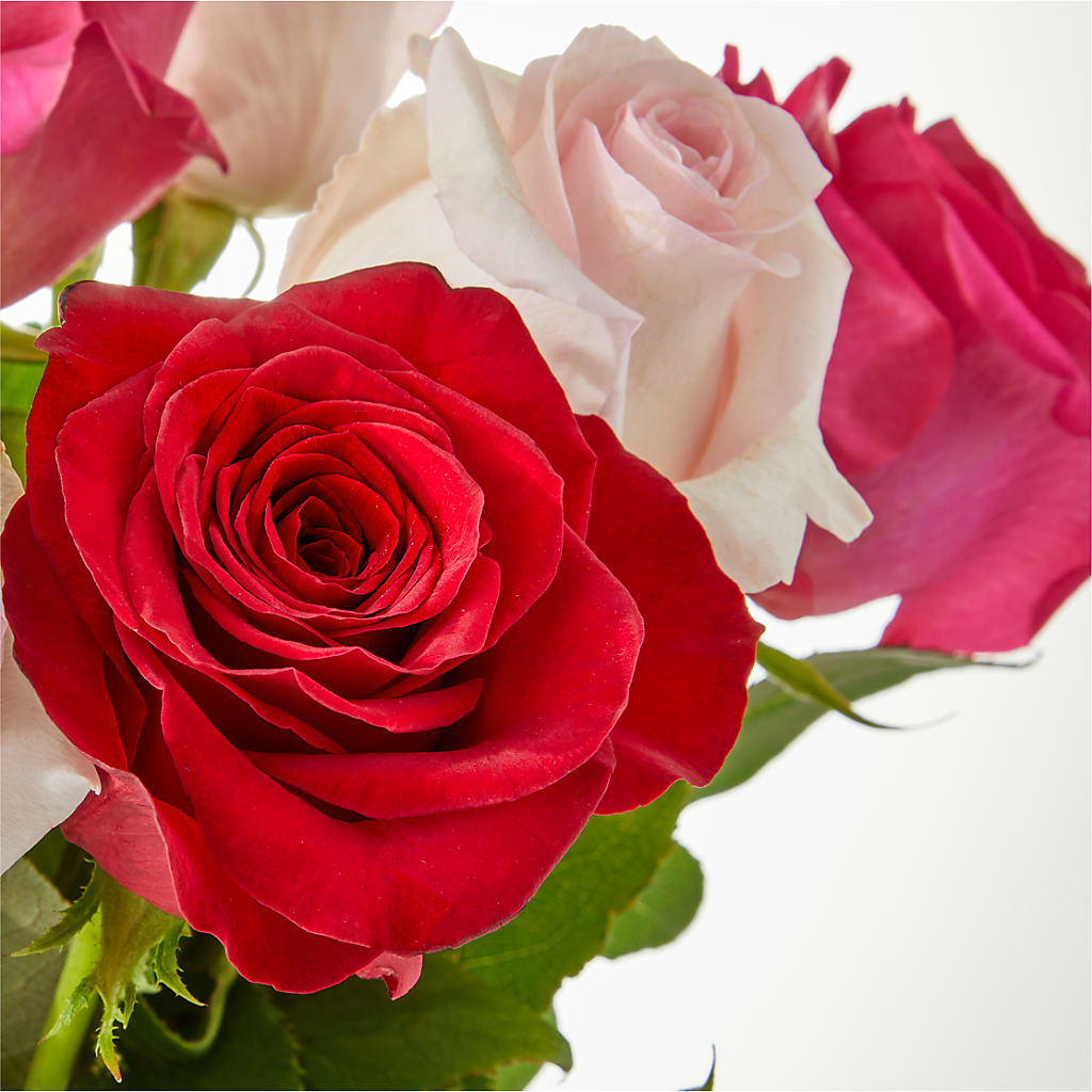 Charming Rose Bouquet –  Rita Fleuriste Montreal, Montreal PQ