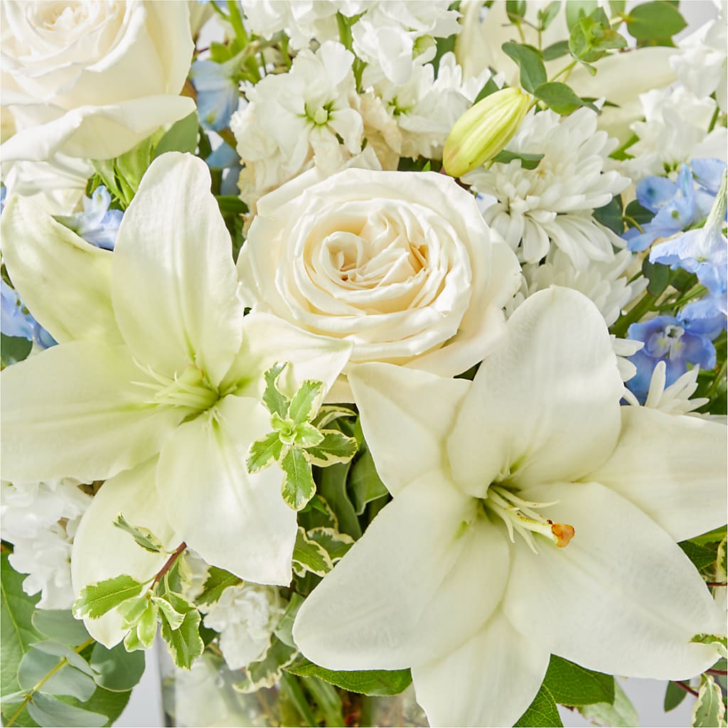 Peace of Mind Bouquet –  Rita Fleuriste Montreal, Montreal PQ