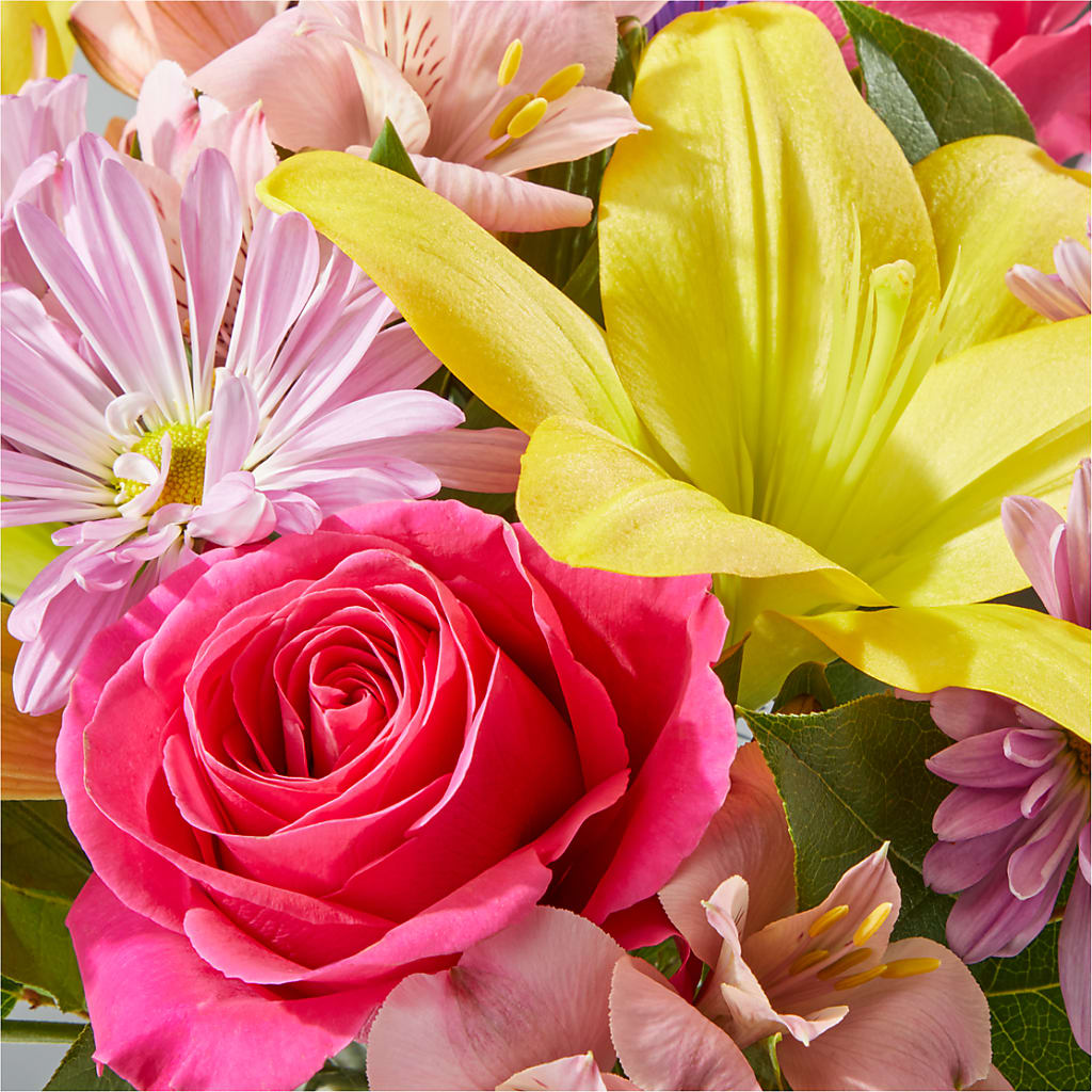 Sprinkles Bouquet –  Rita Fleuriste Montreal, Montreal PQ
