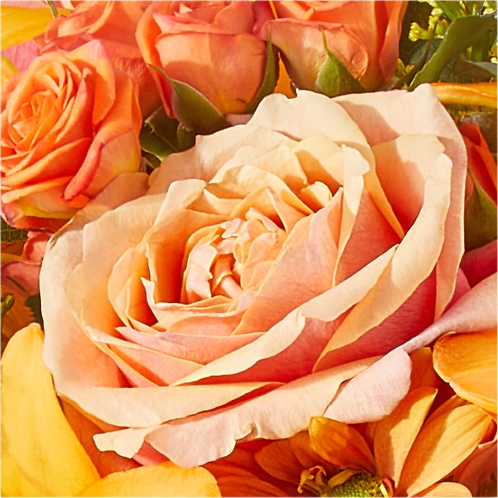Harvest Hayride Bouquet –  Rita Fleuriste Montreal, Montreal PQ
