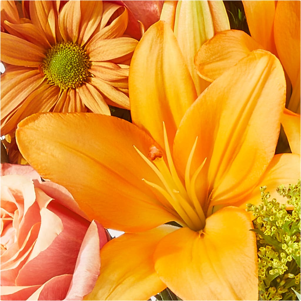 Harvest Hayride Bouquet –  Rita Fleuriste Montreal, Montreal PQ