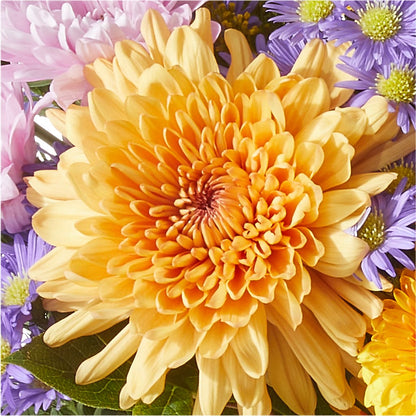 Countryside Bouquet –  Rita Fleuriste Montreal, Montreal PQ