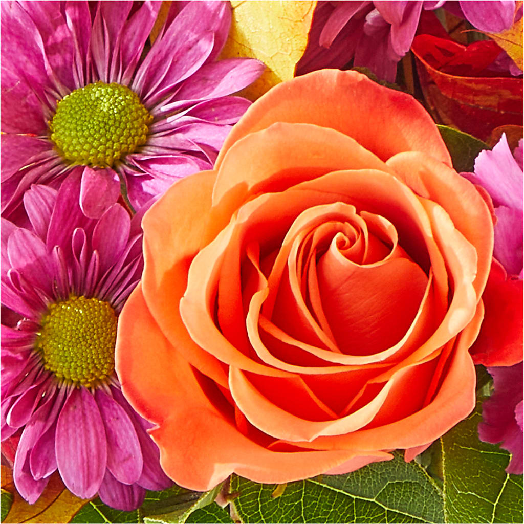 Mum's the Word Bouquet –  Rita Fleuriste Montreal, Montreal PQ