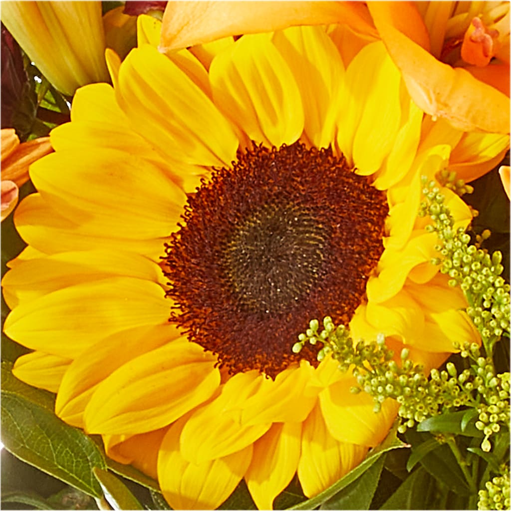 Seasons Change Bouquet –  Rita Fleuriste Montreal, Montreal PQ