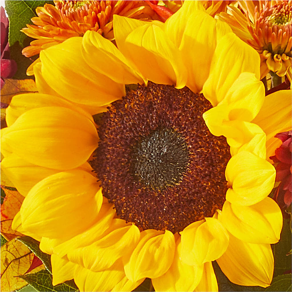 Sunny Side Bouquet –  Rita Fleuriste Montreal, Montreal PQ