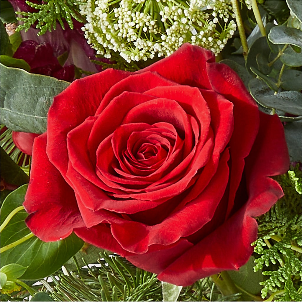 Cranberry Fizz Bouquet –  Rita Fleuriste Montreal, Montreal PQ