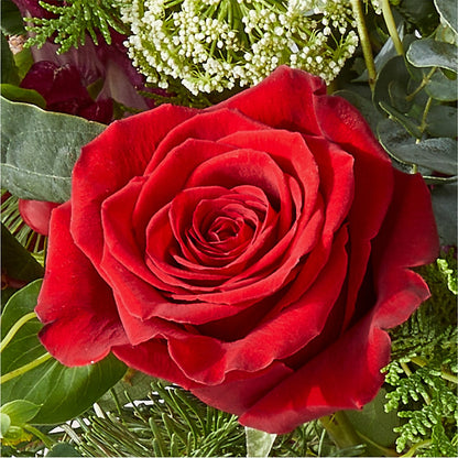 Cranberry Fizz Bouquet –  Rita Fleuriste Montreal, Montreal PQ