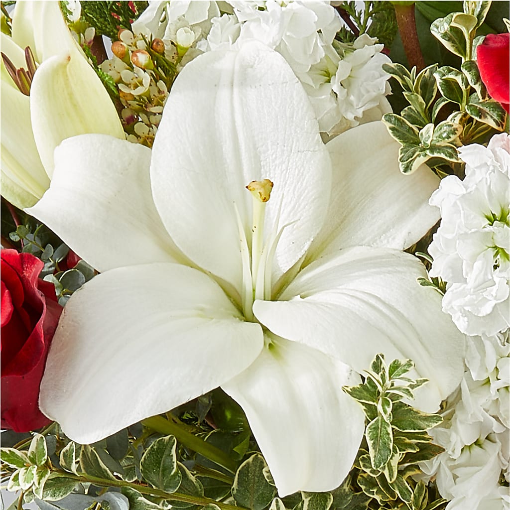 Twinkle Lights Bouquet –  Rita Fleuriste Montreal, Montreal PQ