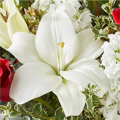 Twinkle Lights Bouquet –  Rita Fleuriste Montreal, Montreal PQ
